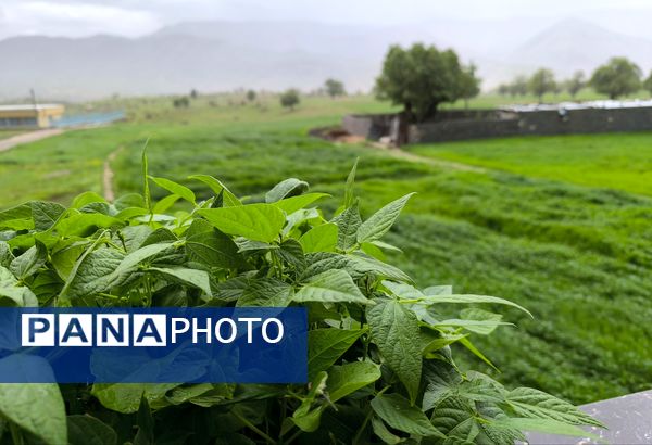مسن و سرتنگ روستاهایی در دل طبیعت خانمیرزا 