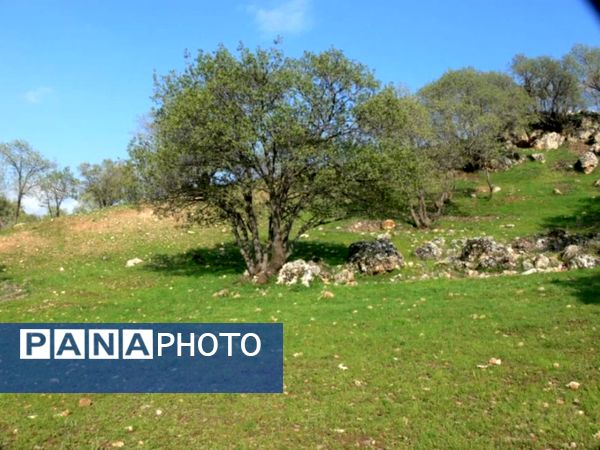 رومشکان گوهر پنهان طبیعت در نوروز ۱۴۰۴