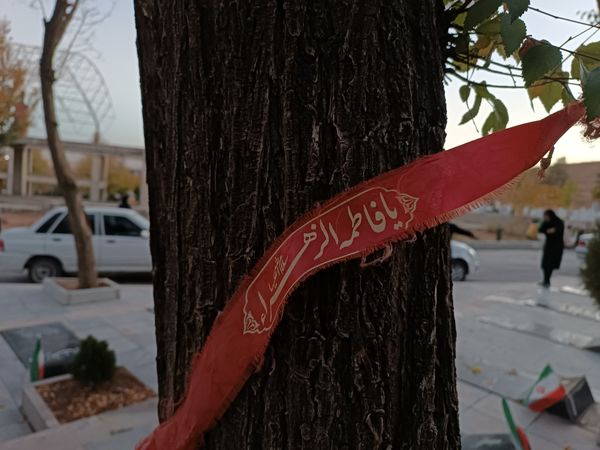 دختران شاهد فاطمه‌زهرا(س) در گلزار شهدا، قبور مطهر را به رنگ عشق آراستند