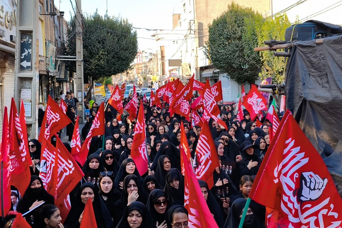 جا ماندم از کربلا، اما در مسیر دل‌ها قدم زدم