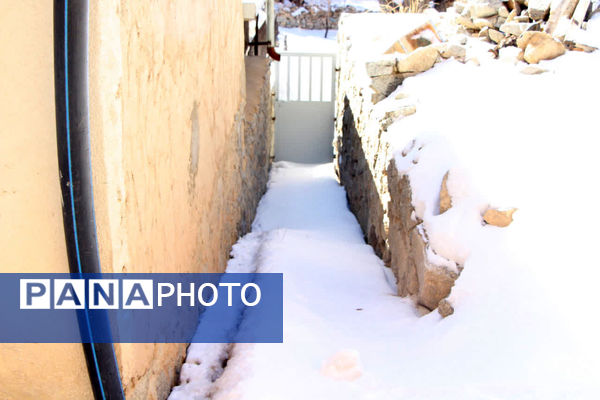 روز برفی و دل انگیز ده‌بالا یزد