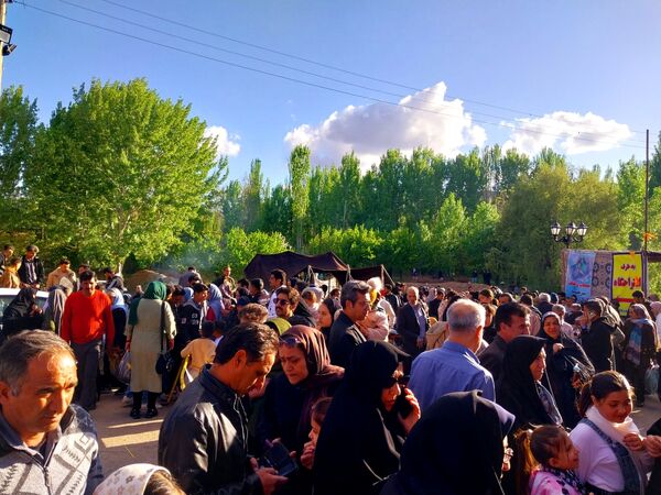جشنواره ریواس در کوهسرخ