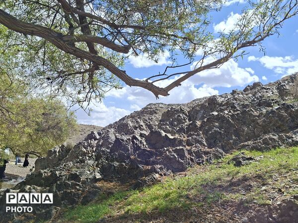 براکوه؛ جایی که کوهستان، جامه‌ی سرسبزی و طراوت پوشید