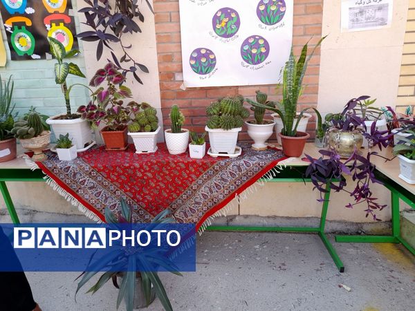 غرفه‌های فرهنگی-هنری در مدارس شهرستان سیروان 