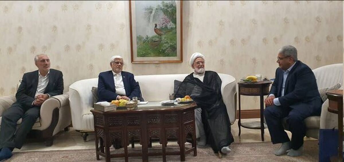 عارف با کروبی دیدار کرد