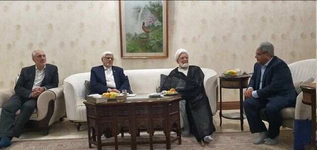 عارف با کروبی دیدار کرد