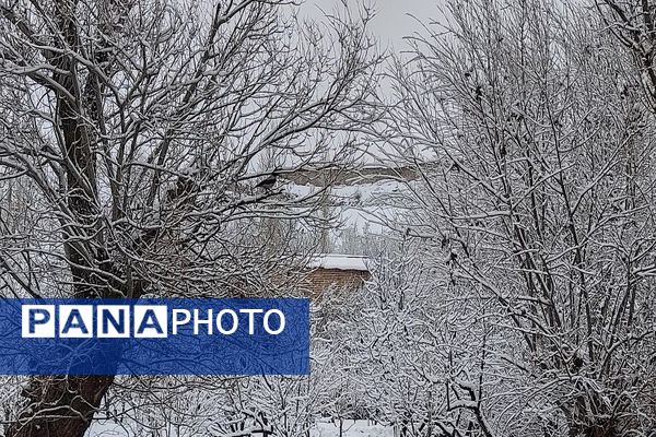 آسمان سخاوتمندانه نعمتش را در ماه شعبان به زمین شهر بار هدیه کرد