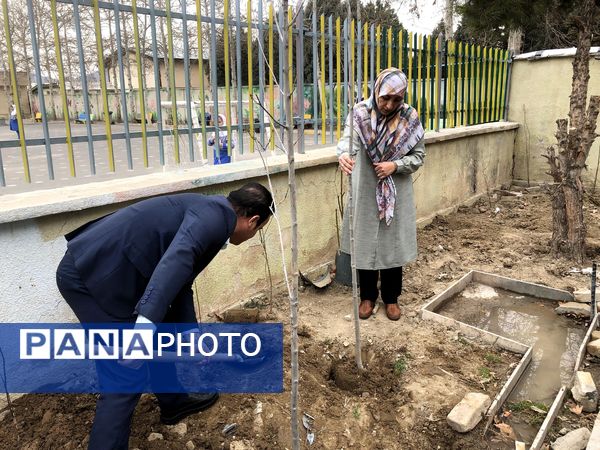 دانش‌آموزان و مسئولین شهرستان ملارد، در روز درختکاری جوانه‌های امید را به زمین هدیه دادند