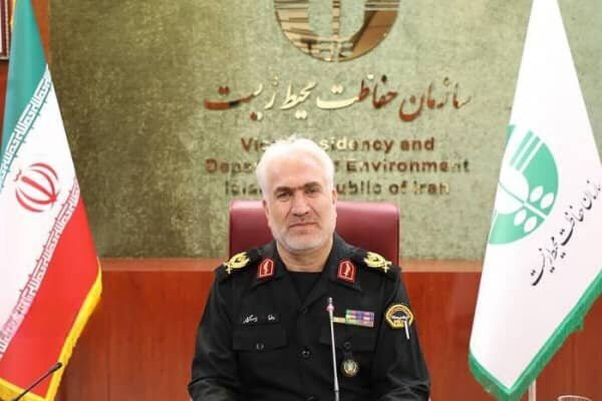 تشکیل بیش از ۷۰ هزار پرونده قضایی علیه متخلفان زیست محیطی در کشور