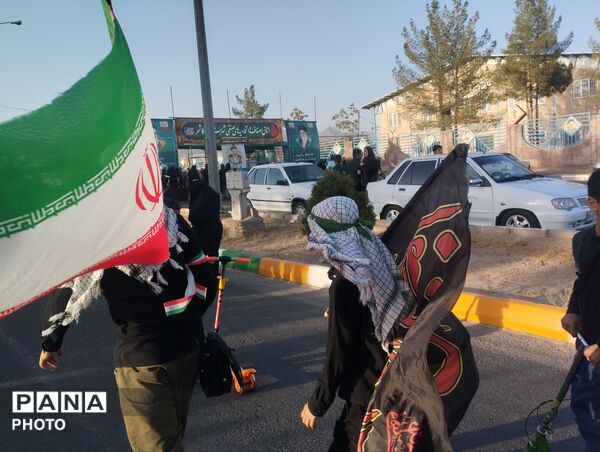 از پرچم ایران تا قاب شهدا؛ روایت دلدادگی در مسیر حسینی