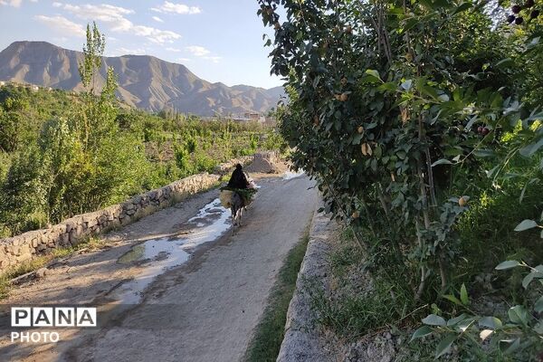 بهسازی جاده بین باغی شهر بار مطالبه دیرین باغداران