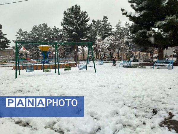 بارش برف در شهرستان تربت جام
