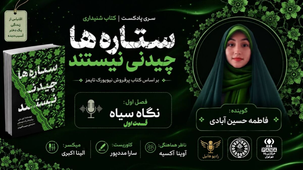 کتاب صوتی ستاره ها چیدنی نیستند