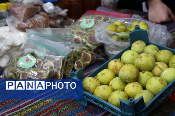 رویداد دیار علویان در گلوگاه 