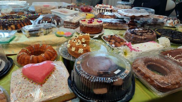 همایش پیاده‌روی مادر دختری به‌مناسبت اعیاد شعبانیه و دهه فجر 