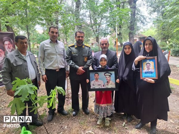سرو ایران در آزادشهر ریشه دواند