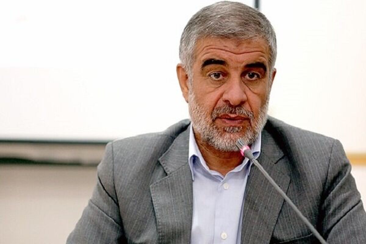 هنوز مصوبه تشکیل سازمان ملی مهاجرت نهایی نشده است