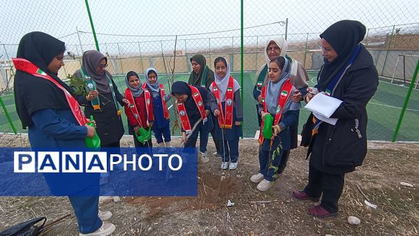 درختکاری در دبستان شهید ذکاوتی مایوان