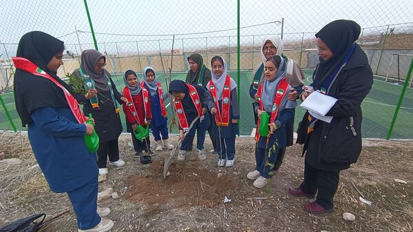 درختکاری در دبستان شهید ذکاوتی مایوان