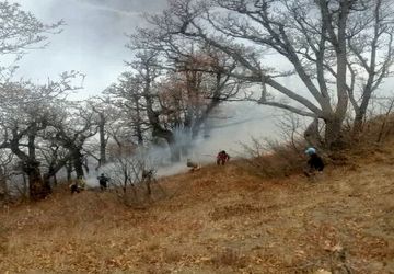 ثبت رکورد جدید لوله‌کشی اطفای حریق توسط آتش‌نشانان در جنگل‌های الیت