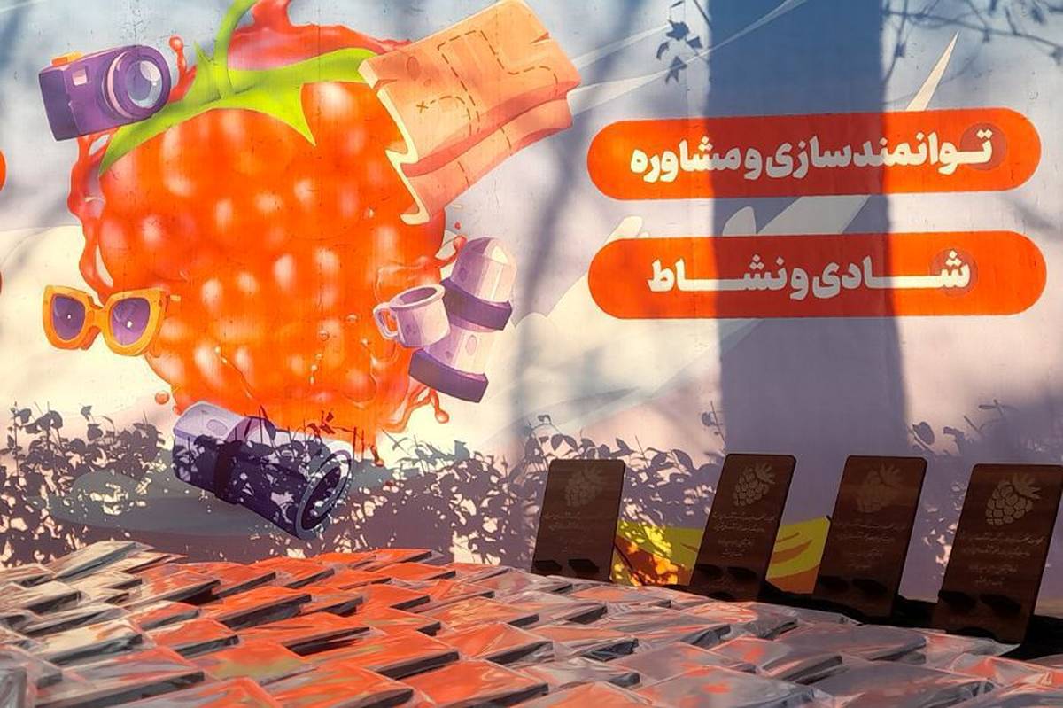 اردوی تمشک، تلفیق آموزش و سرگرمی در فضایی خلاقانه است