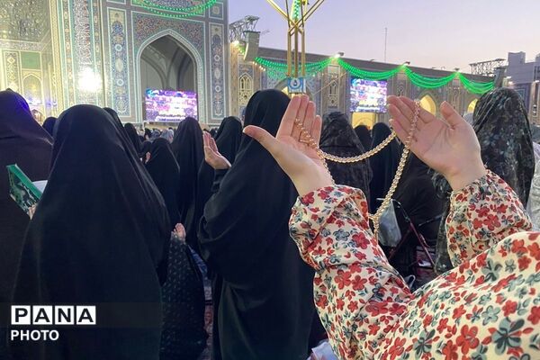 سفر به دیار مهربانی