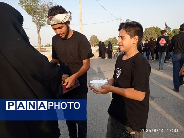 دل به دل، قدم به قدم مسیر عشق اربعین