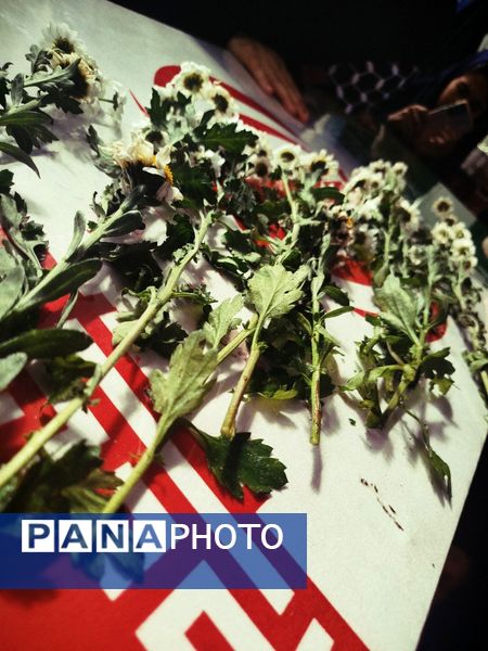 استقبال از شهید گمنام درنیشابور 