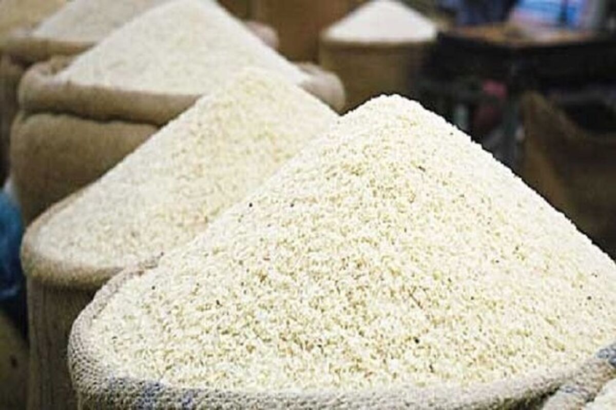 تصویب توزیع ۱۰۰ هزار تُن برنج در بازار از محل موجودی شرکت بازرگانی دولتی