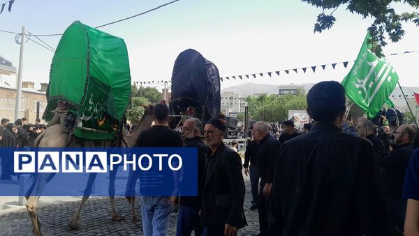 برگزاری تجمع یوم العباس در امامزاده حسن کرج