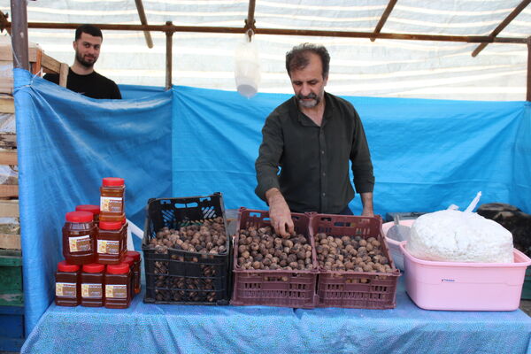جشنواره عسل کَنِل بندپی شرقی