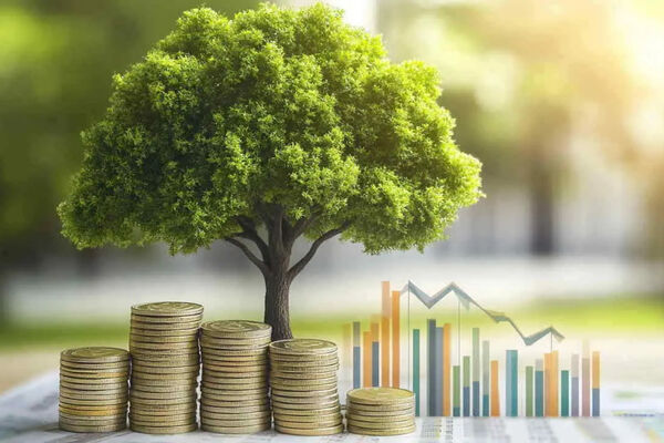 تبدیل سهام عدالت به موتور محرک توسعه اقتصادی با واگذاری به بخش خصوصیِ صلاحیت‌دار