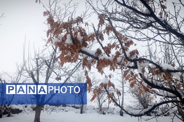 قلعه یزدان در قاب برفی زمستان