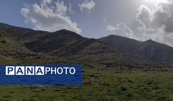 هنر در طبیعت نهفته است