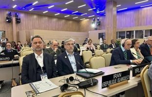 شیخ‌الاسلام در اجلاس کنفرانس عمومی یونسکو حضور یافت