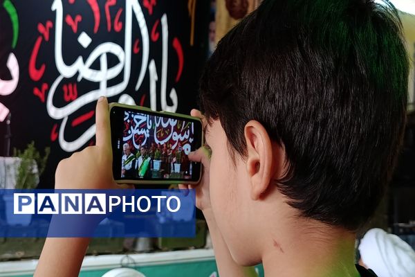 عشق و ارادت مردم شهرستان ملارد به امام رضا (ع) به روایت تصویر