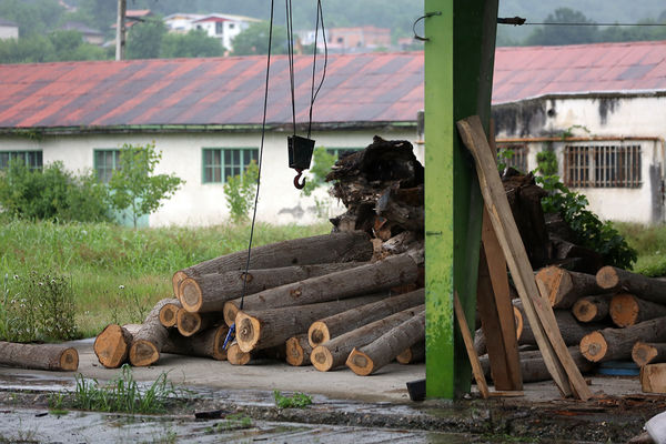 بازدید نماینده دولت و وزیر آموزش و پرورش از پروژه‌های عمرانی شهرستان سوادکوه