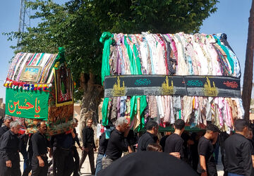 آیین سنتی نخل‌بستن در شهر بهمن
