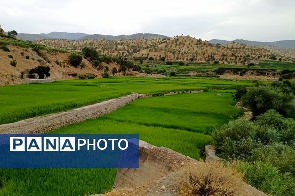 نجوای ارمند؛ سمفونی طبیعت در آبچنار