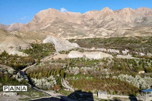آلبوم تصویری از طبیعت زیبای شهر بار در اردیبهشت‌ماه  ۱۴۰۵ـ۲