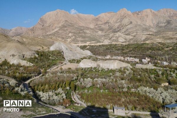 آلبوم تصویری از طبیعت زیبای شهر بار در اردیبهشت‌ماه  ۱۴۰۵ـ۲