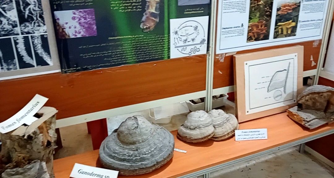 بازدید  خبرنگاران مسئله محور از موسسه گیاه پزشکی تهران