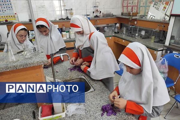 کارگاه «طعم یک پژوهش کوچک» در پژوهش سرای کاوش کهریزک