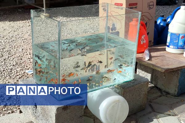 برپایی نمایشگاه بهاری در شهرستان لردگان 