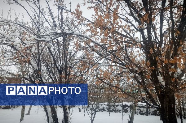 قلعه یزدان در قاب برفی زمستان