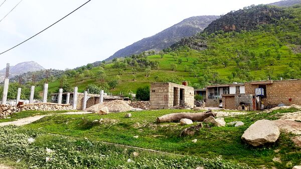 هنر در طبیعت نهفته است