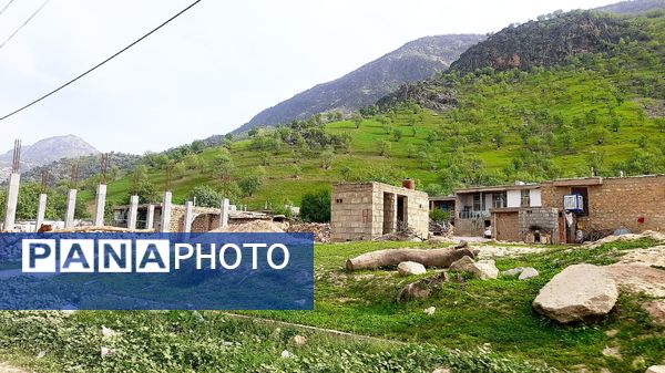 هنر در طبیعت نهفته است