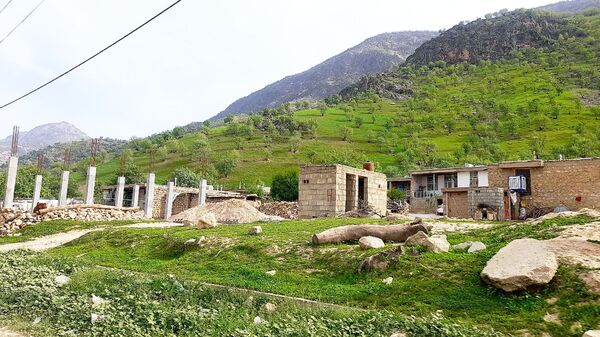 هنر در طبیعت نهفته است