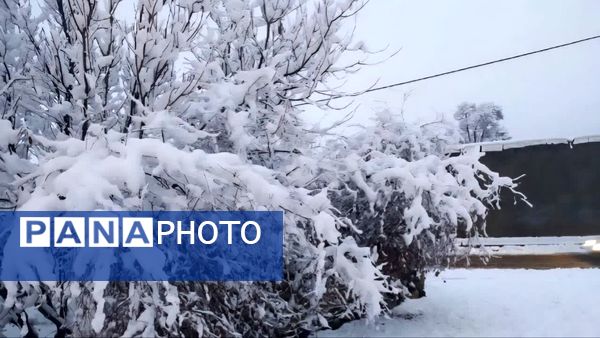 بارش اولین برف پاییزی در روستای نورآباد شازند