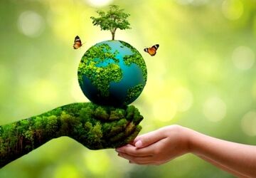 طبیعت در محاصره بحران؛ ردپای تخریب از جنگل تا زندگی مردم